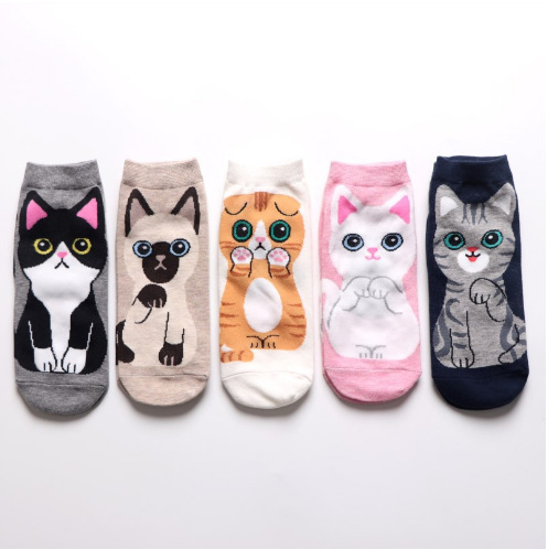 6 fashion styles Limited Edition Earthy Matte Cat Jacquard Ankle Socks fashion accessories 3d printing - Customizable Wholesale Women's Cotton Socks fashion accessories used by both male and female