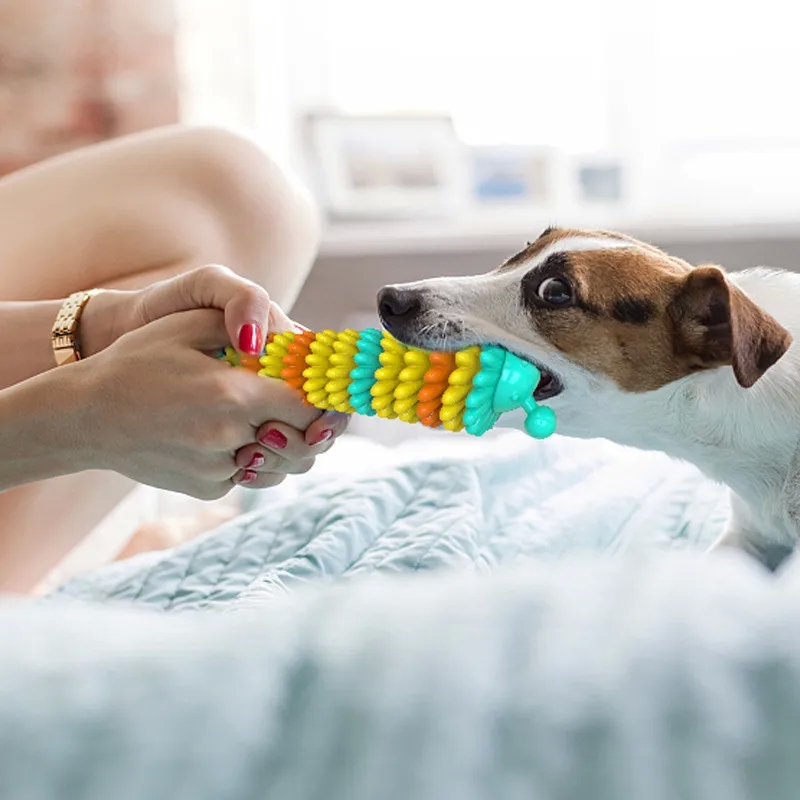 home kitchen season 1 "Elegant Caterpillar Dog Teether home's kitchen ss21 Toy – Safe Molar Toothbrush Classic Design Limited Stock Pet Supply" home kitchen website
