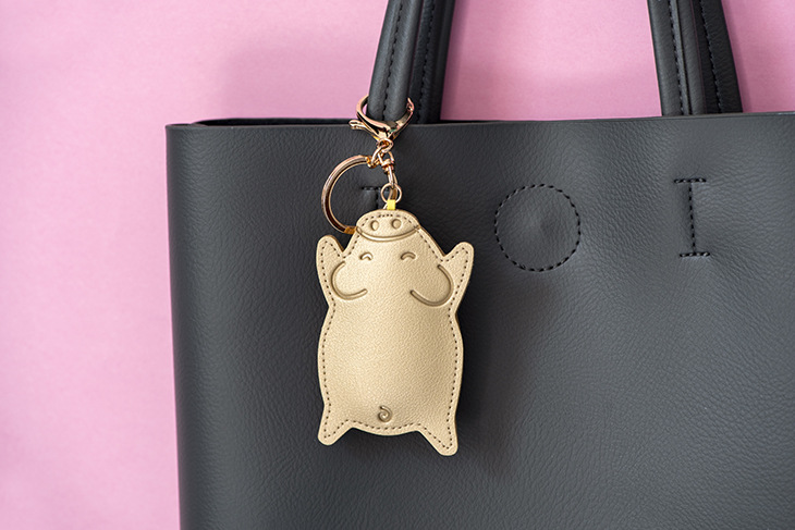 fashion accessories and description 
