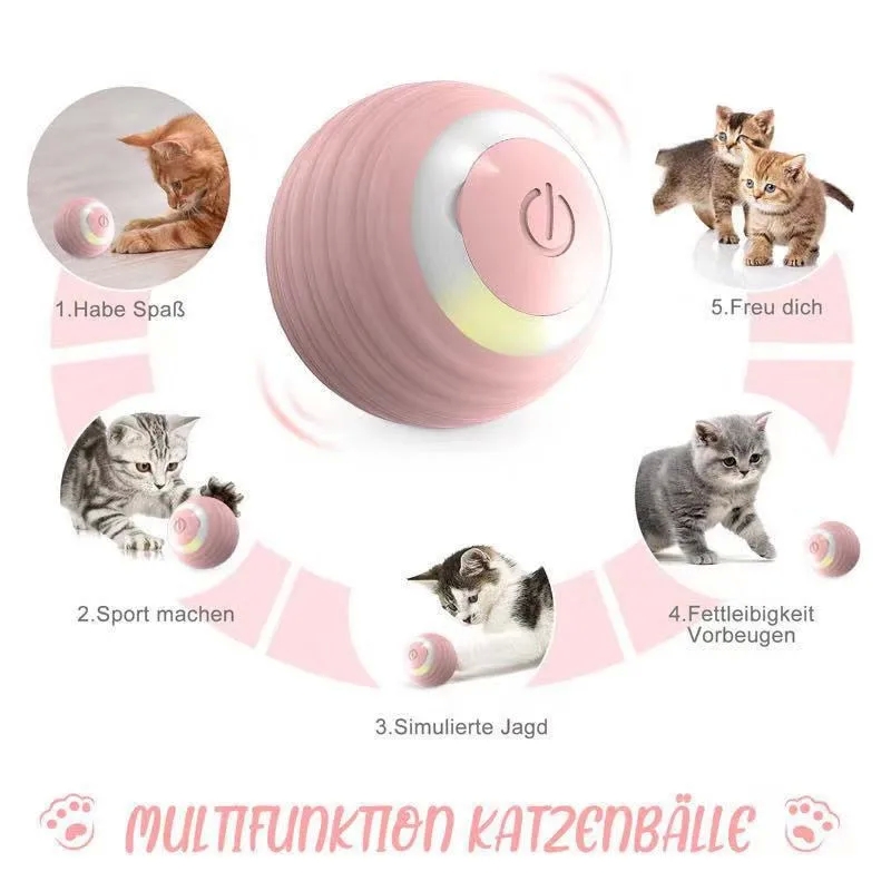 vintage home kitchen "Heritage-Inspired Silicone Pet Toys: 6 over 6 house meaning Rare Glam Vibe Simple Elegance Affordable Luxe for Pets" illinois home kitchen license