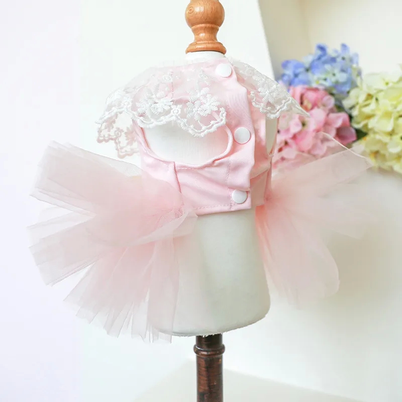 home kitchen equipment near me "Limited zara home kitchen soap dispenser Edition Playful Pet Princess Lace Skirt – Polished Skin-Friendly Yarn Fairy Dress for Spring & Summer" nursing home kitchen